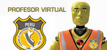 Profesor virtual
