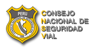 logo del CNSV